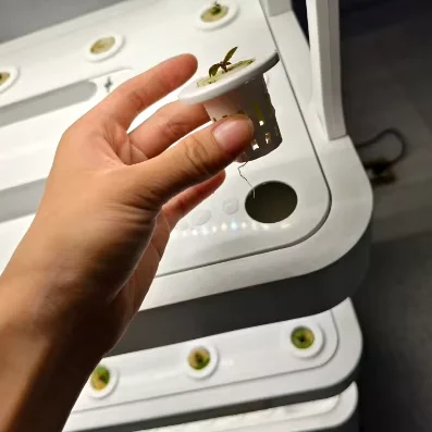 آلة زراعة وزراعة الشتلات ذات سعة كبيرة آلة متكاملة للزراعة المائية الذكية - أ