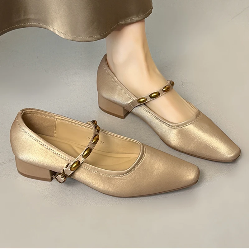 

Luxury Women's Shoes Shallow Fashion Heeled Shoes Designer Chunky Pumps 2026 Autumn New Dress Elegant Party Zapatos De Mujer