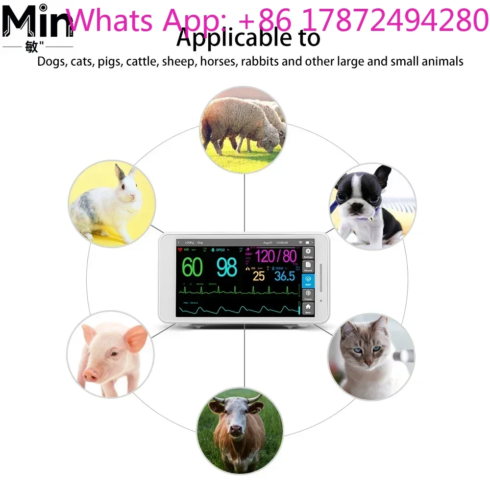 Veterinary Patient Monitoring Pressure Equipment