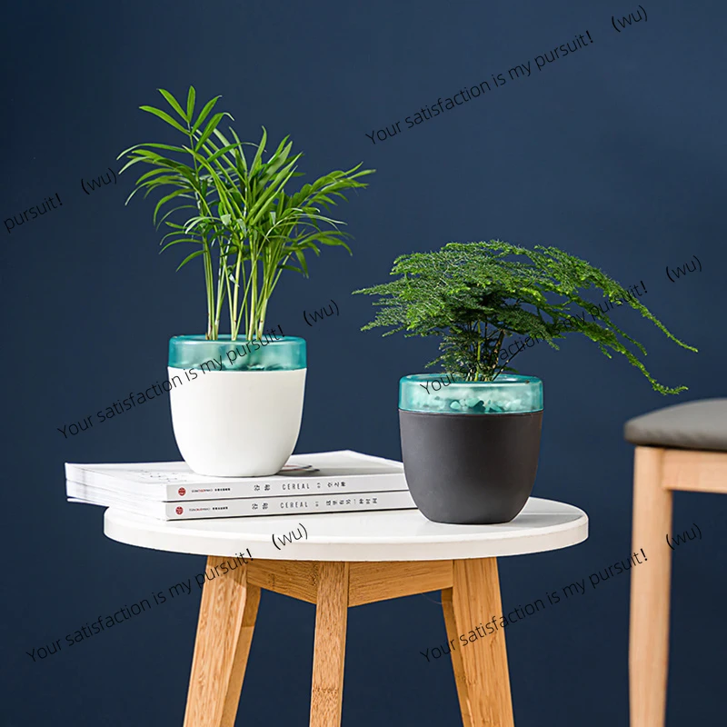 Automatic Water Absorption Lazy Flowerpot No-Watering Resin Plastic for Succulent Aloe Vera - Self-Watering Plant Pot