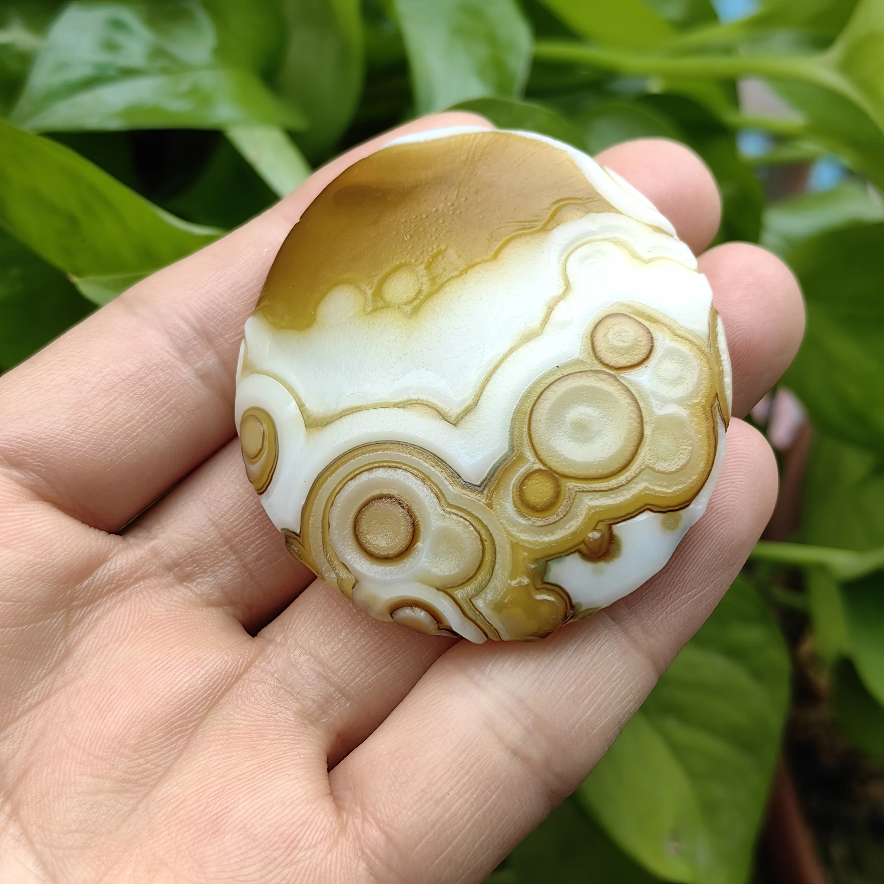 Authentic Unprocessed Divine Eye Agate Natural Gobi Palm Stone for Reiki Meditation, Home Protection & Luck Enhancement