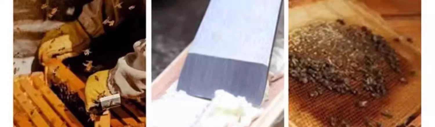 Edelstahl-Hebel- und Schabwerkzeug, Hochleistungs-Mehrzweckwerkzeug für Abrissarbeiten, Holzbearbeitung, Malvorbereitung, DIY-Handwerkzeug – Detail 7
