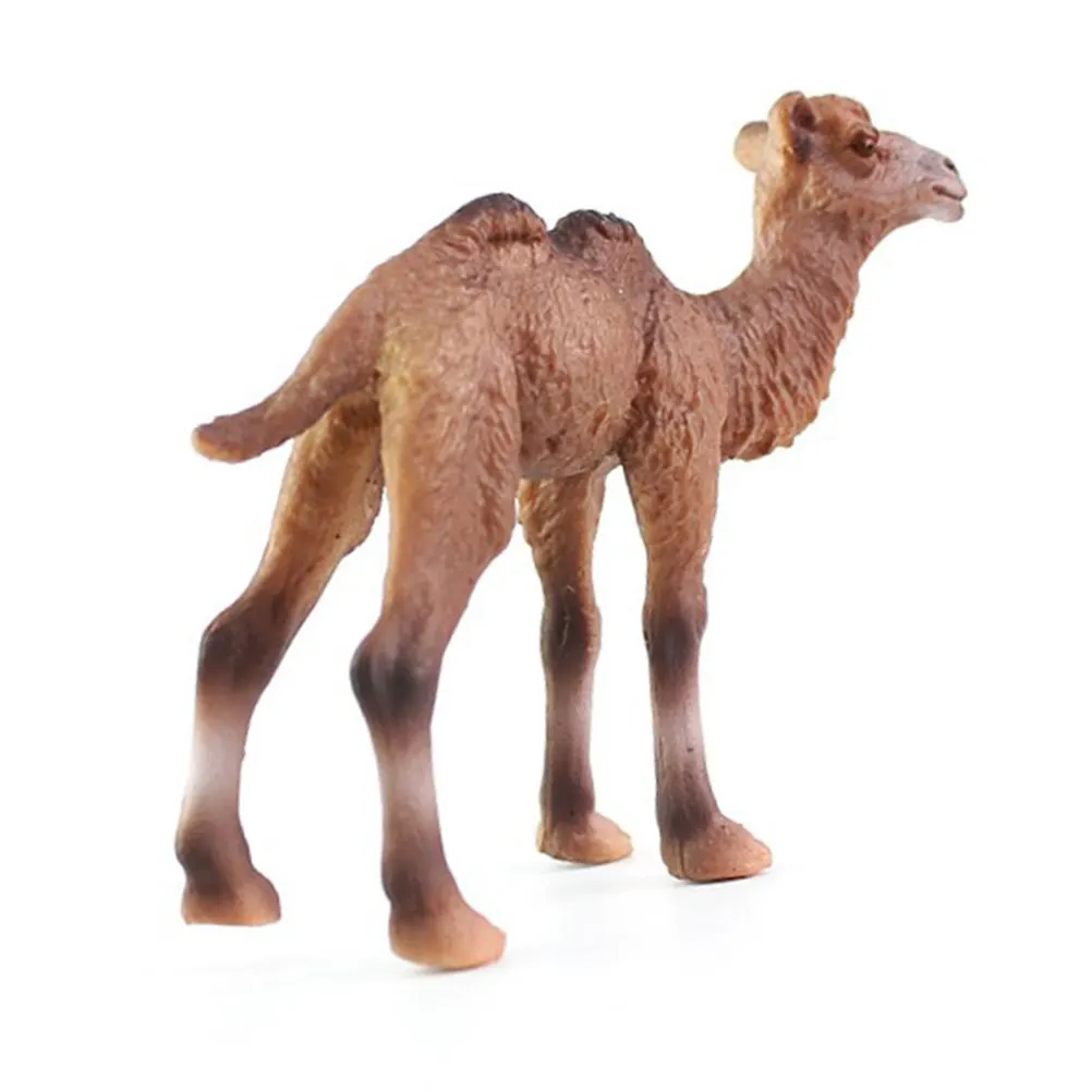 Camel Simulation Animal Ornament Creative Desktop Decoration Collection Natural Science Educational Gift Preschoolers Home
