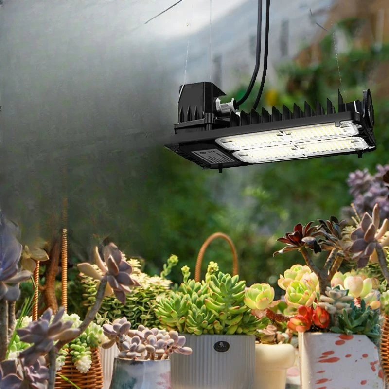 

Plant fill light full spectrum succulent flower shop greenhouse flower shop fill light