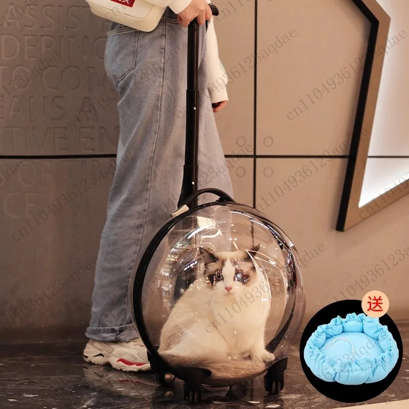 Portable Cat Bag for Going Out Large Capacity Transparent Breathable Pet Trolley Case Cat Travel Bag Pet Supplies Cat nest