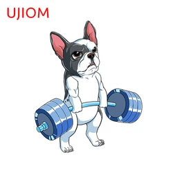 UJIOM Fitness Dog Wallstickers Room Wall Decoration Workout PVC Sticker for Gym and French Bulldog Lovers Waterproof Decals