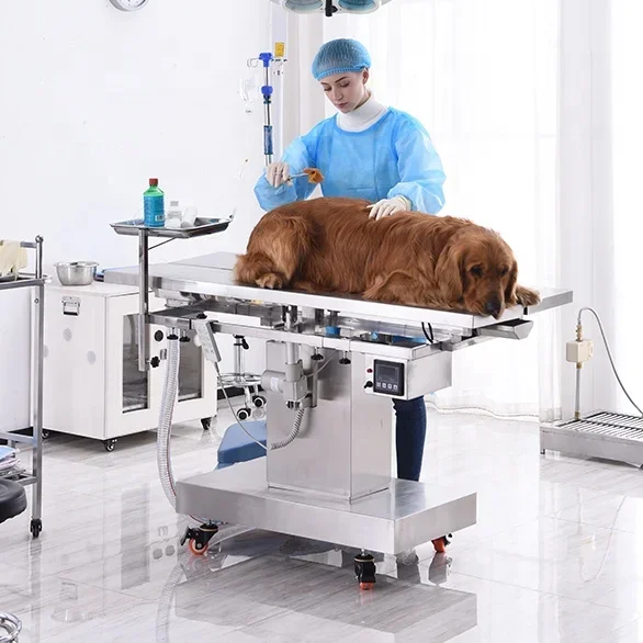 Veterinary Surgery Table Animal Operating Table Veterinary Electrical Operation Surgery Table Veterinary For Vet Hospital Clinic