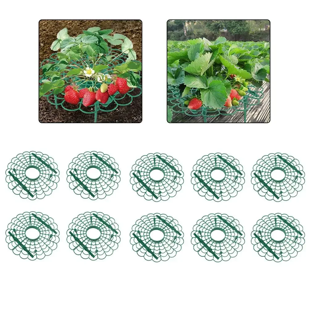 

10pcs Strawberry Plant Supports With Three Sturdy Legs Provide Protection For Strawberries Against Molds Rot, And Dirt