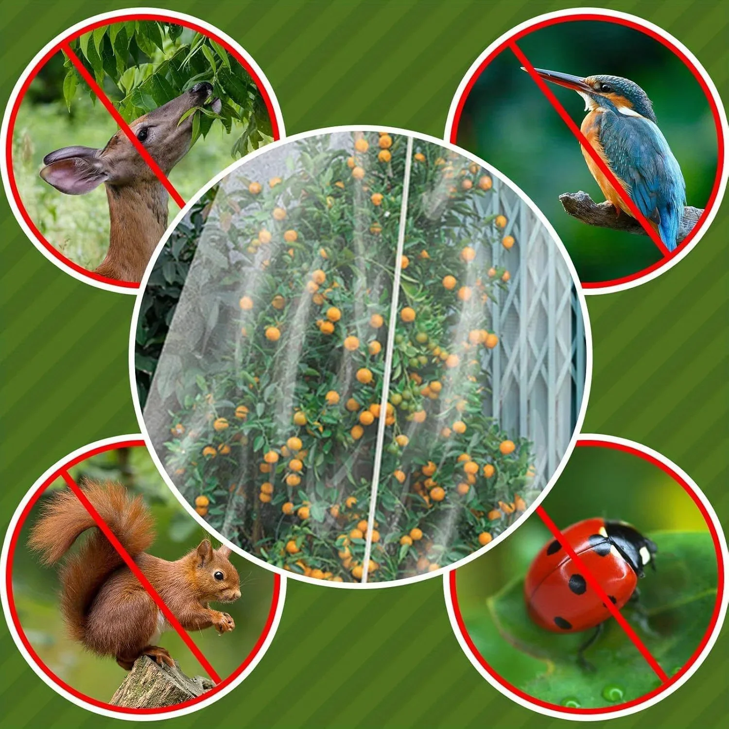 1pc Insect Proof Bag Mesh Cover Nylon Mesh Bag Bird Fly Proof Gardening Orchard Vegetable Bag Drawstring
