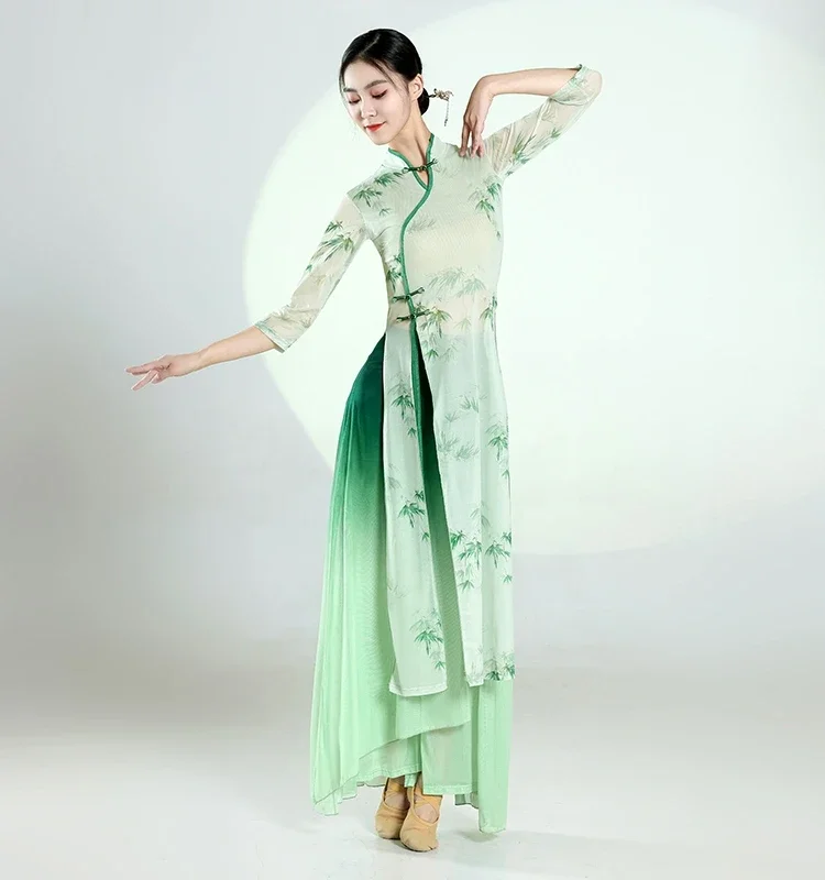 Classical Dance Costumes Women's Butterfly Stretch Saree Floating Practice Clothes Chinese Dance Stage Performance Clothes