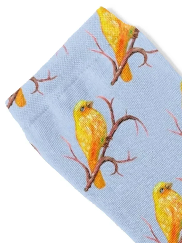 Canary Bird Socks Lots hiking Christmas Novelties Socks Men's Women's