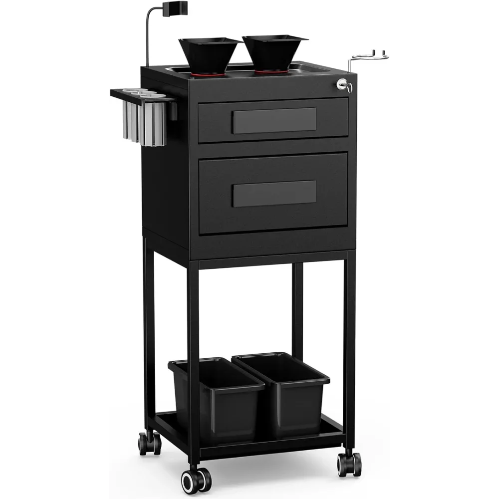 

Metal Salon Trolley Cart for Hair Stylist, 2 Lockable Drawers, 2 Storage Baskets, 2 Magnetic Hair Color Bowls, Hairdryer & Tools