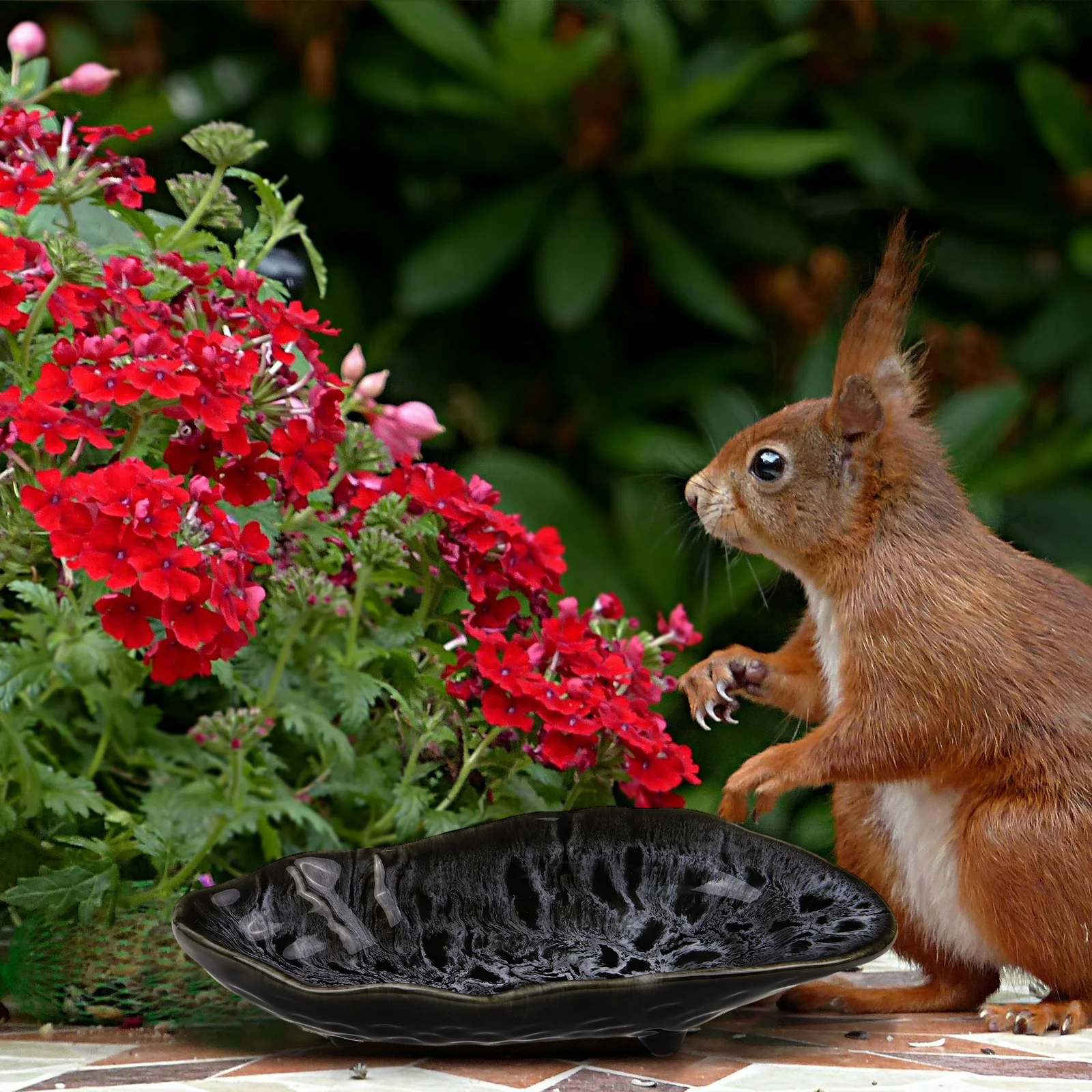 

Large Capacity Ceramic Butterfly Feeder Outdoor Water Feeding Pot Garden Decor Bee Feeding Tray Butterfly Puddler