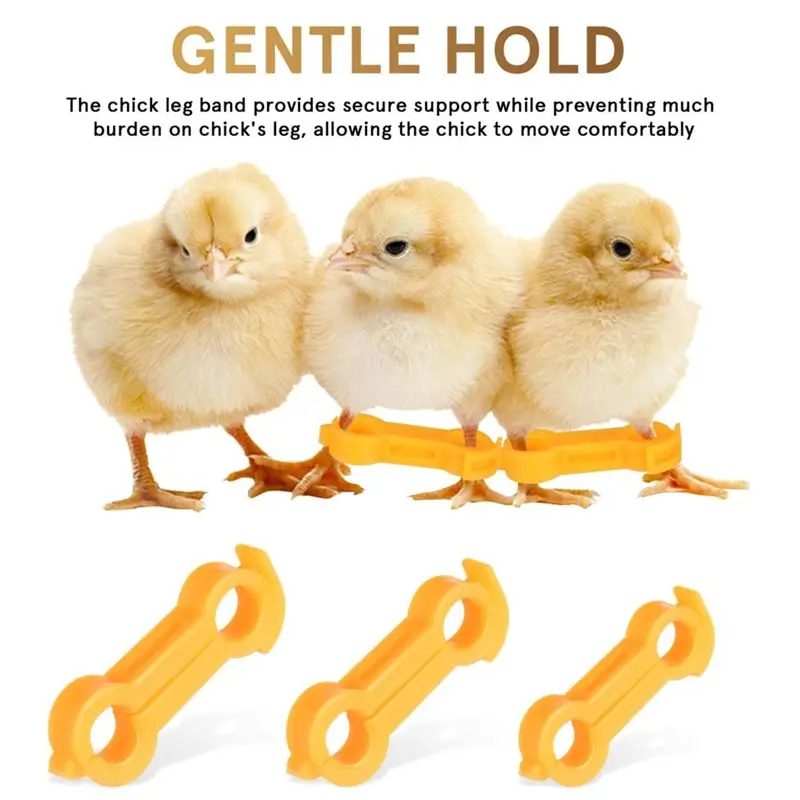 Baby Chick Leg Hobbles, Poultry Leg Bands, Chicken Hobble Braces- 12Pcs Chicken Chick Slay Leg Hobbles