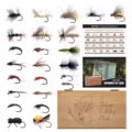 24pcs