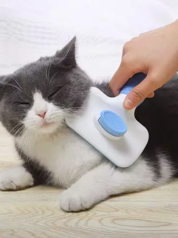 Dog Comb Pet Hair Removal Brush Cats and Dogs Special Comb Beauty Massage Self-cleaning Needle Comb Pet Supplies