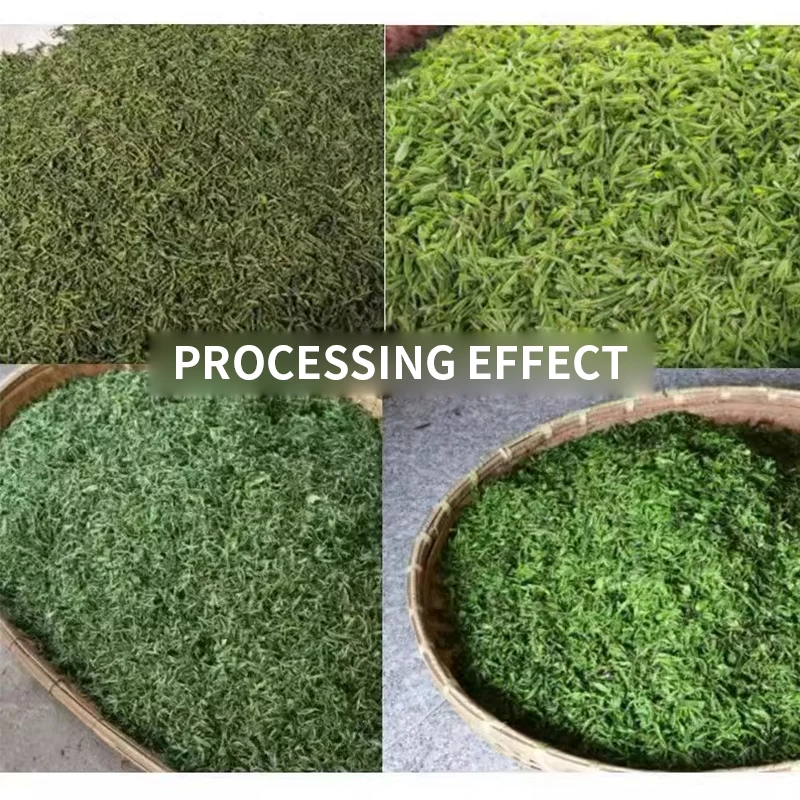 Machine à rouler le thé électrique, automatique, commerciale, en acier inoxydable