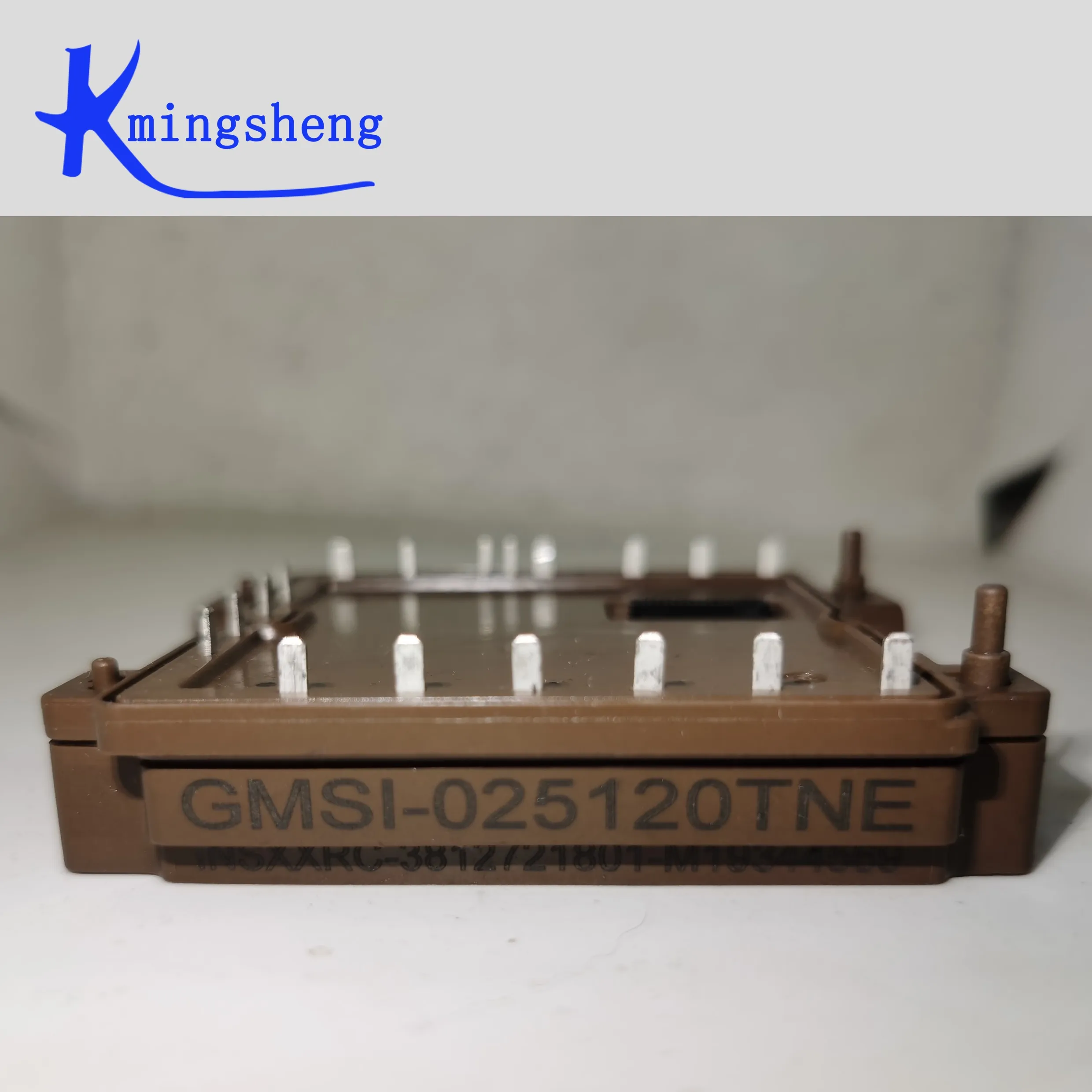 

GMSI-025120TNE FREE SHIPPING NEW AND ORIGINAL MODULE