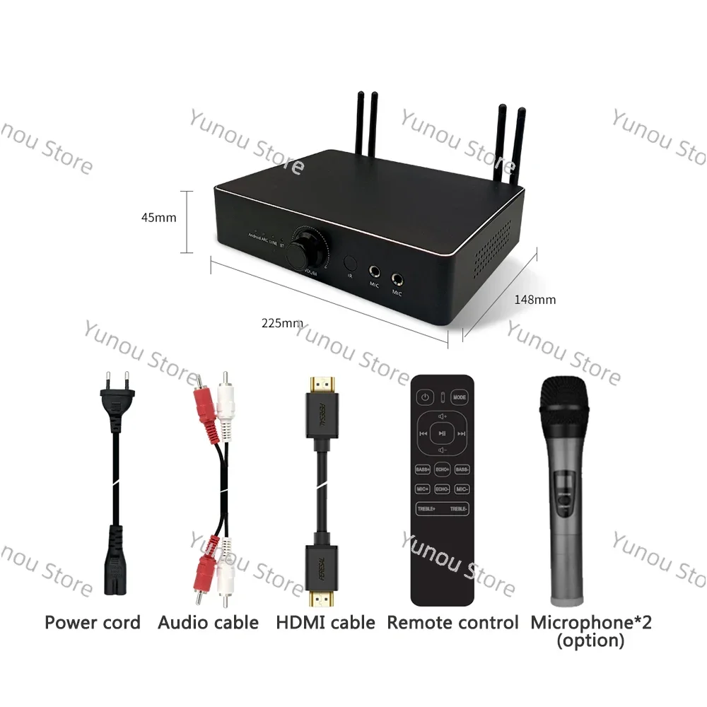 Karaoke Box, Multifunctional Voice Remote Control, Dual Track 600W Professional Amplifier with 2 Wireless Microphones