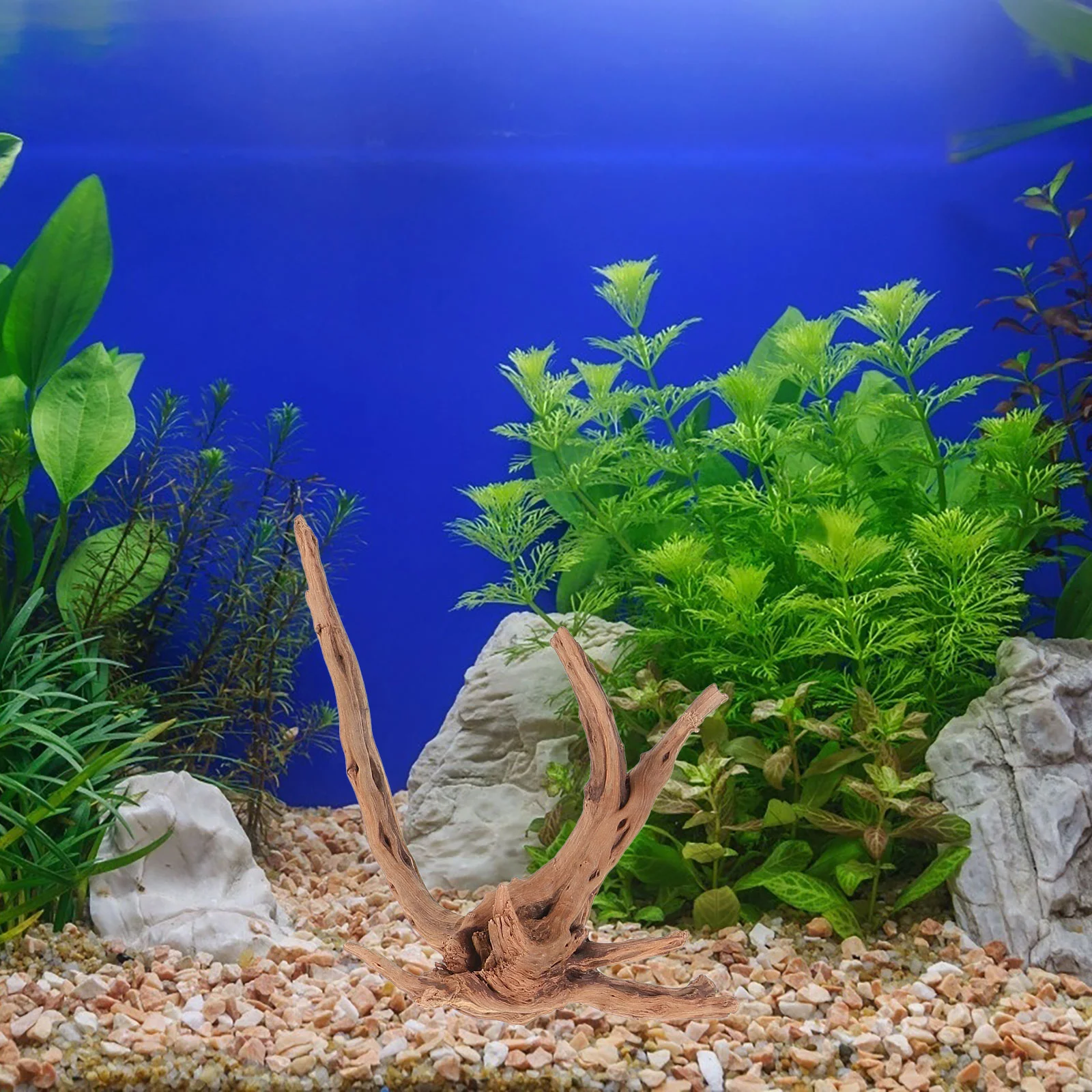 3 Pcs Landscaping Sunken Wood Fish Tank Decorations Aquarium Driftwood Crafts Adornments Desktop Tanks