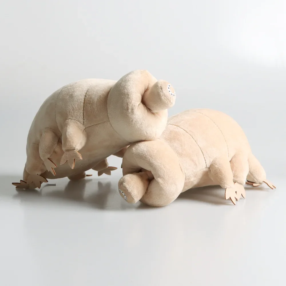 25CM Cute Tardigrade Plush Toy Soft Stuffed Animal Toy Lovely Water Bear Insect Doll Kids Educational Toy Boys Birthday Gift