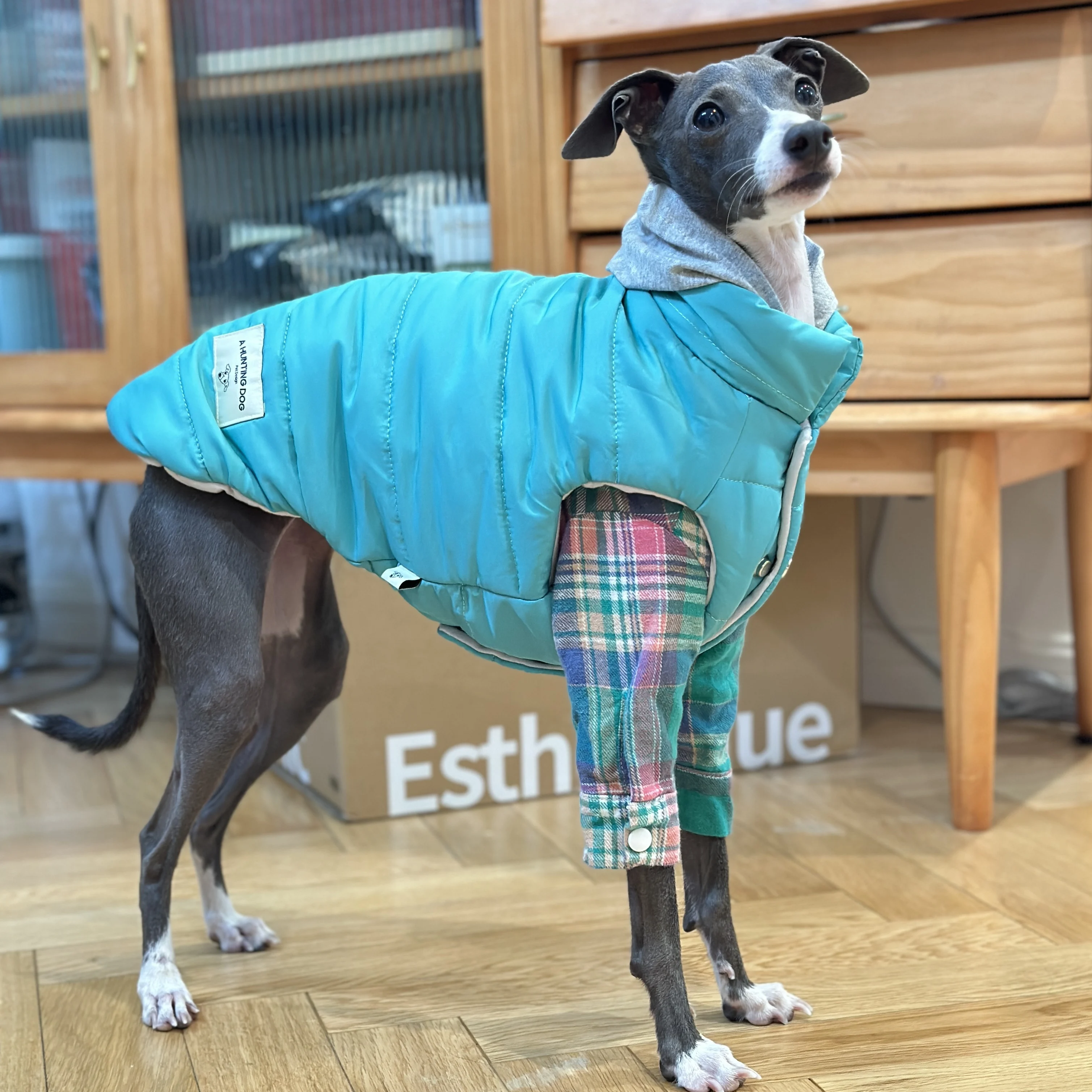 Fashion Iggy-jacket with Zipper Warm Greyhound Dog Coat for Whippet Blue Windproof Jacket for Airless Terrier  in Winter