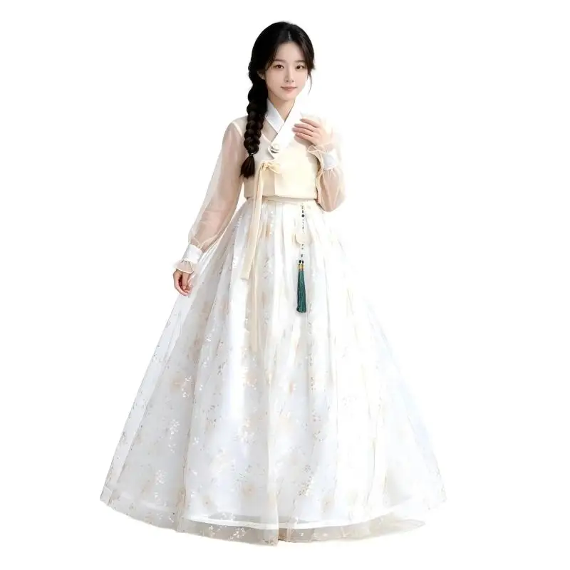 Modern Korean Hanbok for Women Sheer Chiffon Top Sparkling Floral Tulle Long Skirt Dance Performance Photoshoot Dress