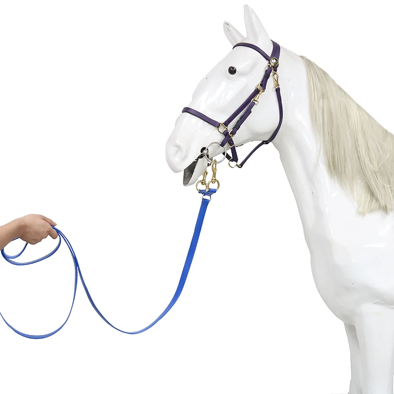 3.6 مللي متر بولي كلوريد الفينيل مقاوم للماء حزام الحصان المقود تخصيص حجم اللون وشعار الأزرق نموذج دعم الرصاص حبل لتدريب الحصان #6