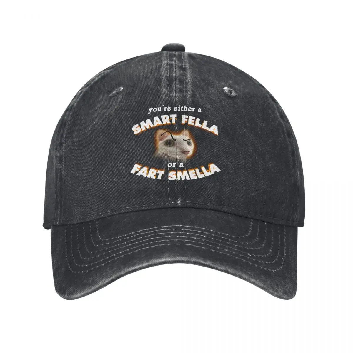 MEME CAT Multicolor Hat Peaked Women's Cap You're A Smart Fella Or A Fart Smella Personalized Visor Protection Hats