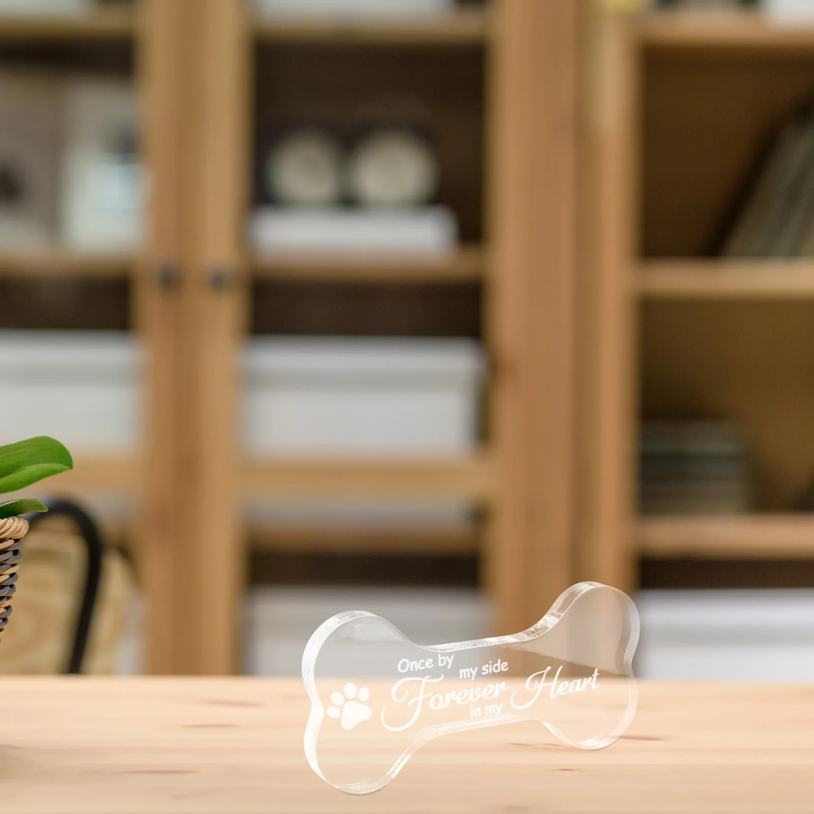 

Bone Shaped Pet Memorial Plaque Garden Outdoor Dog Loss Commemorative Plaque Memorial Ornament Pet Funeral Accessories