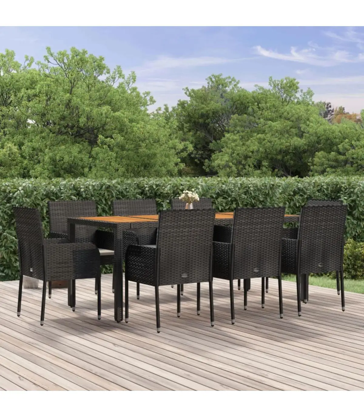 Garden sets garden dining Set 9 PCs and black synthetic rattan cushions