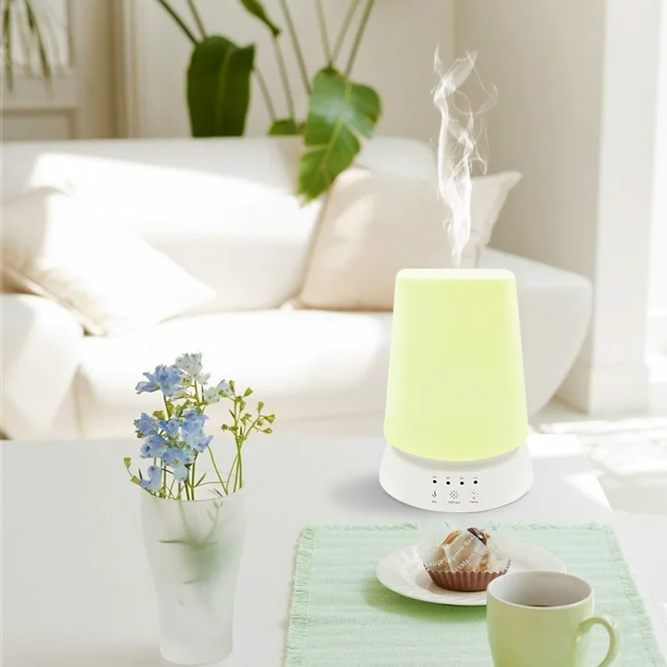Private Label White Electric Home Essential Oil Diffuser Ultrasonic Air Humidifier with Light
