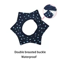 Navy star2