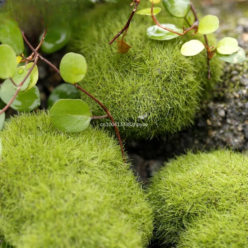 1PCS Artificial Green Moss Ball Fake Stone Simulation Plant Diy Decoration for Shop Window Hotel Home Office Plant Wall Decor