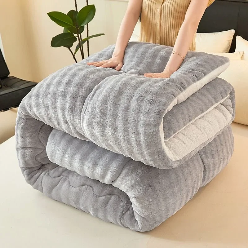 

Lamb Wool Quilt Winter Thickened Warm Single Double Dormitory Quilt Core Milk Flannel Blanket Comforter Autumn and Winter