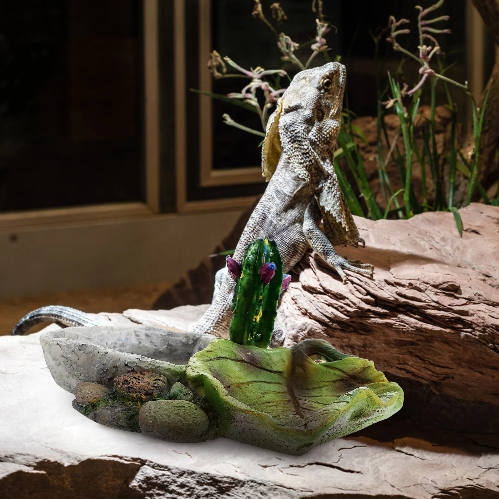 

Resin Reptile Water Dish Set Perfect Feeder for Lizards Turtles Spiders High Quality Durable Pet Supplies Reptile Water Feeders