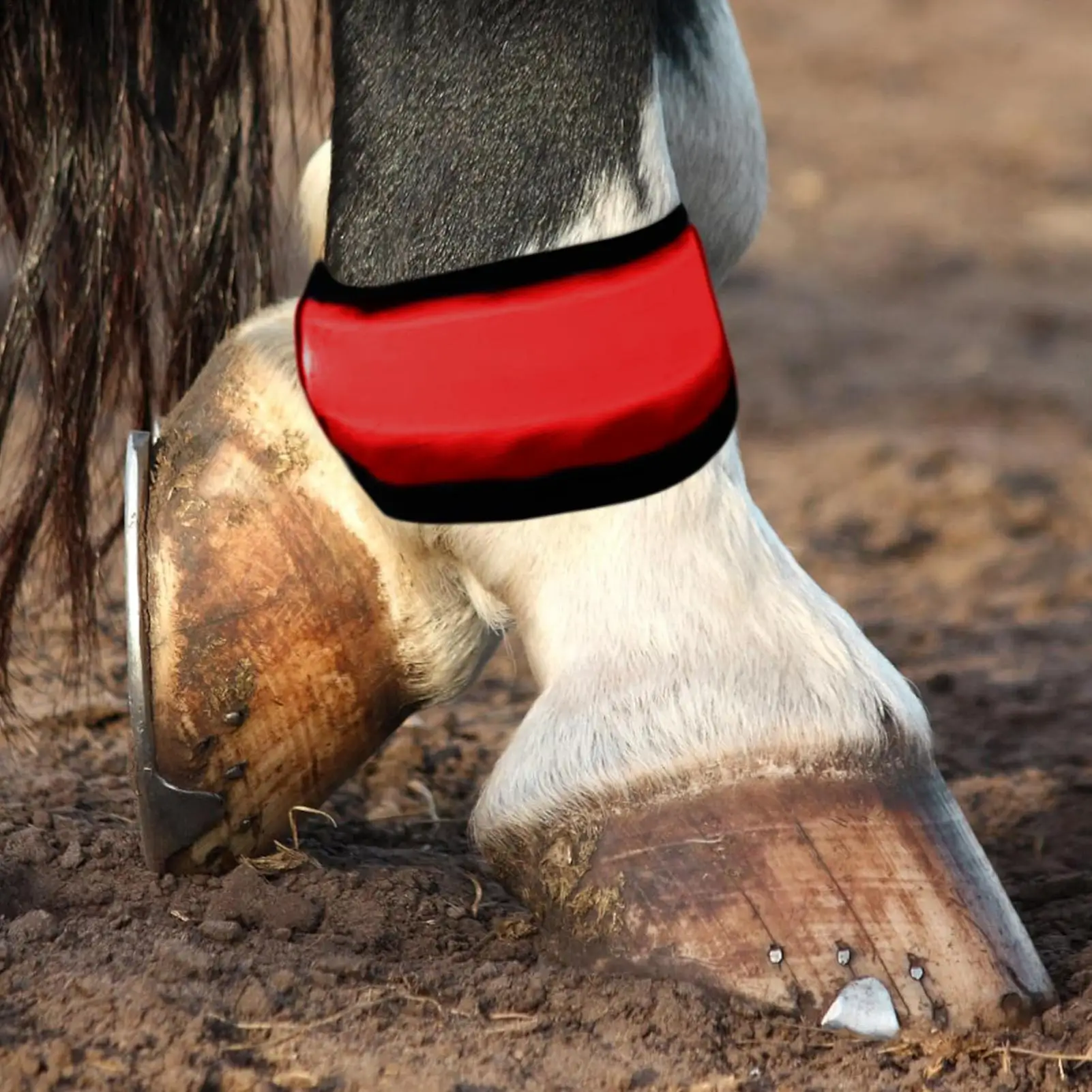 

Светодиодные ленты на щиколотке для лошадей, 4 шт., защитные леггинсы, 4 режима, ремни для лошадей для ночной езды, тропа, дорожной парад, ферма, стабильная убийца ранчо