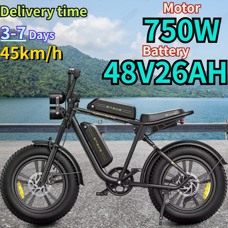 Electric Bicycle 750W Motor 48V26Ah Dual Lithium Battery Mountain Electric Motorcycle E Bike 20*4.0 Fat Tire Adult Electric Bike