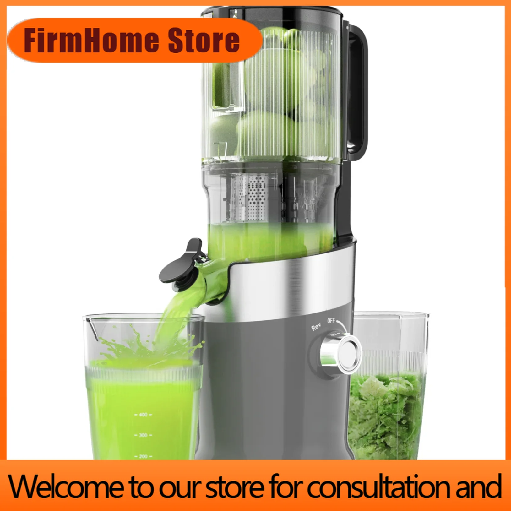 FirmHome Store126mm Wide Feed Chute Masticating Juicer For Fruits With Factory Price