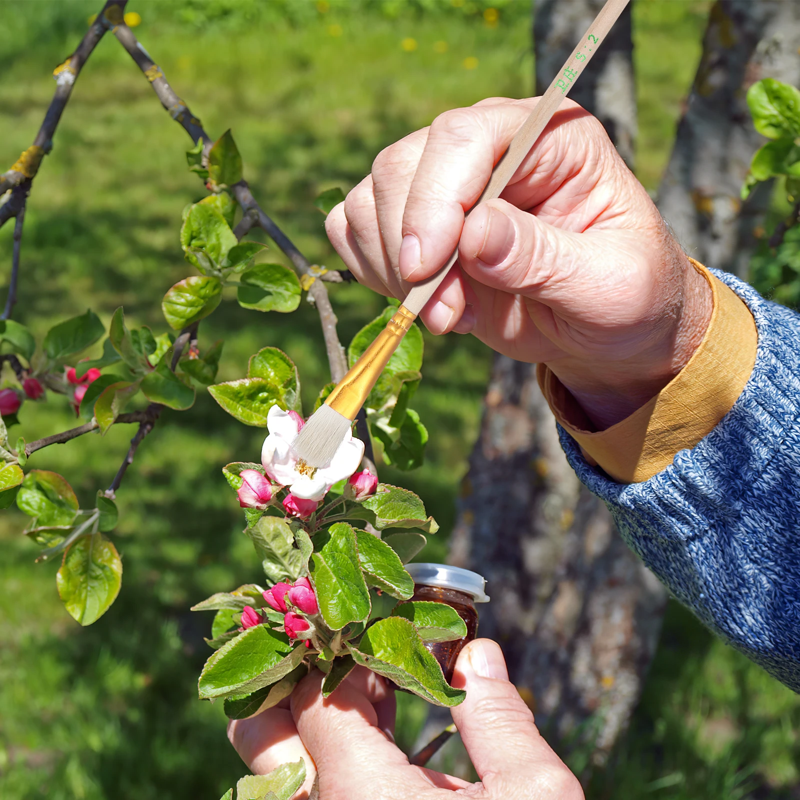 

8 Pcs Chalk Pen Pollinator Tool Hand Strawberry Polinating Brush Pollinating Portable Small Plant Pollination Garden