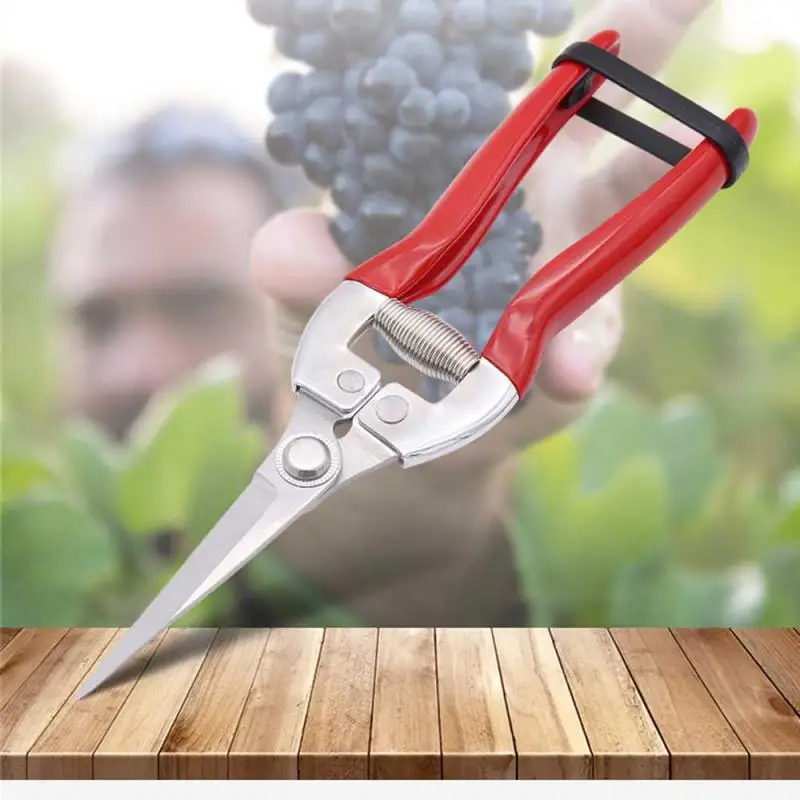 Garden Shears Widely Applicable Sharp Cutting Edge Large Size 110g Small Size 100g Gardening Tools Pruning Tool Branch Shears