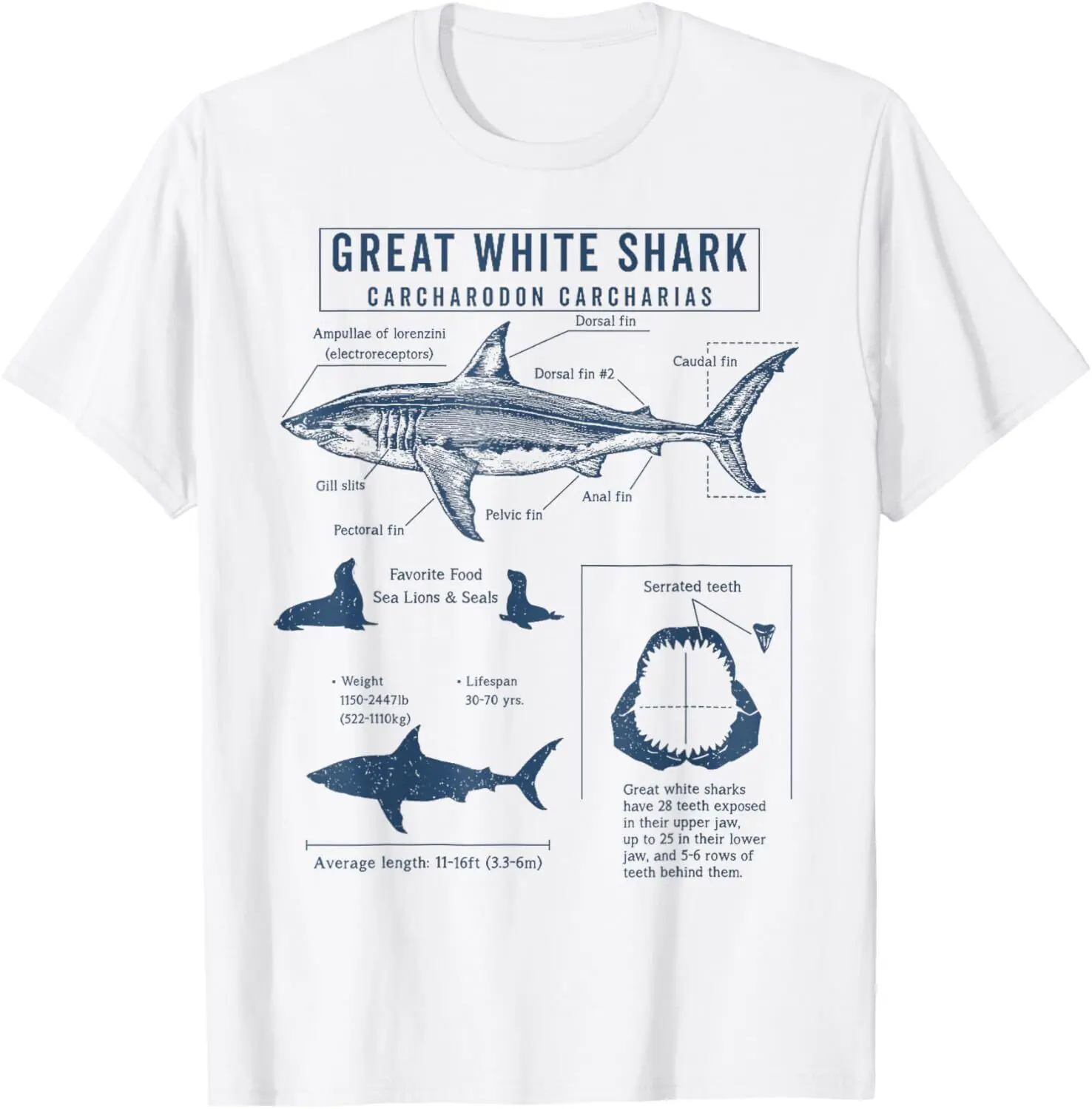 

NEW Great White Shark Anatomy Organs Marine Biologist Gift T-Shirt - MADE IN USA