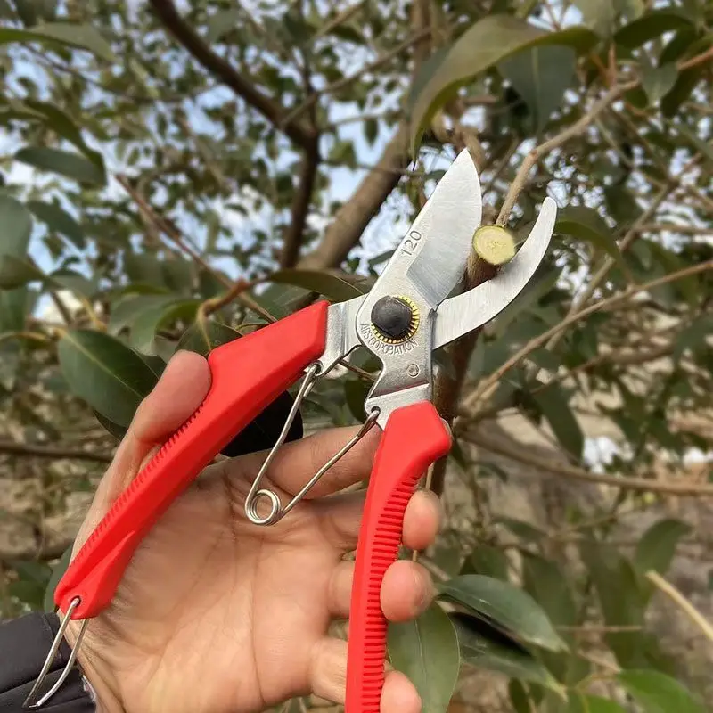 Japan Imported Alice Miyamoto Pruning Shears Alice 120DX Flower  Gardening Garden  Fruit Tree