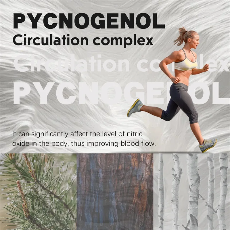 Pycnogenol - Promotes Blood Flow and Circulation To Maintain Cell Health, Heart Support