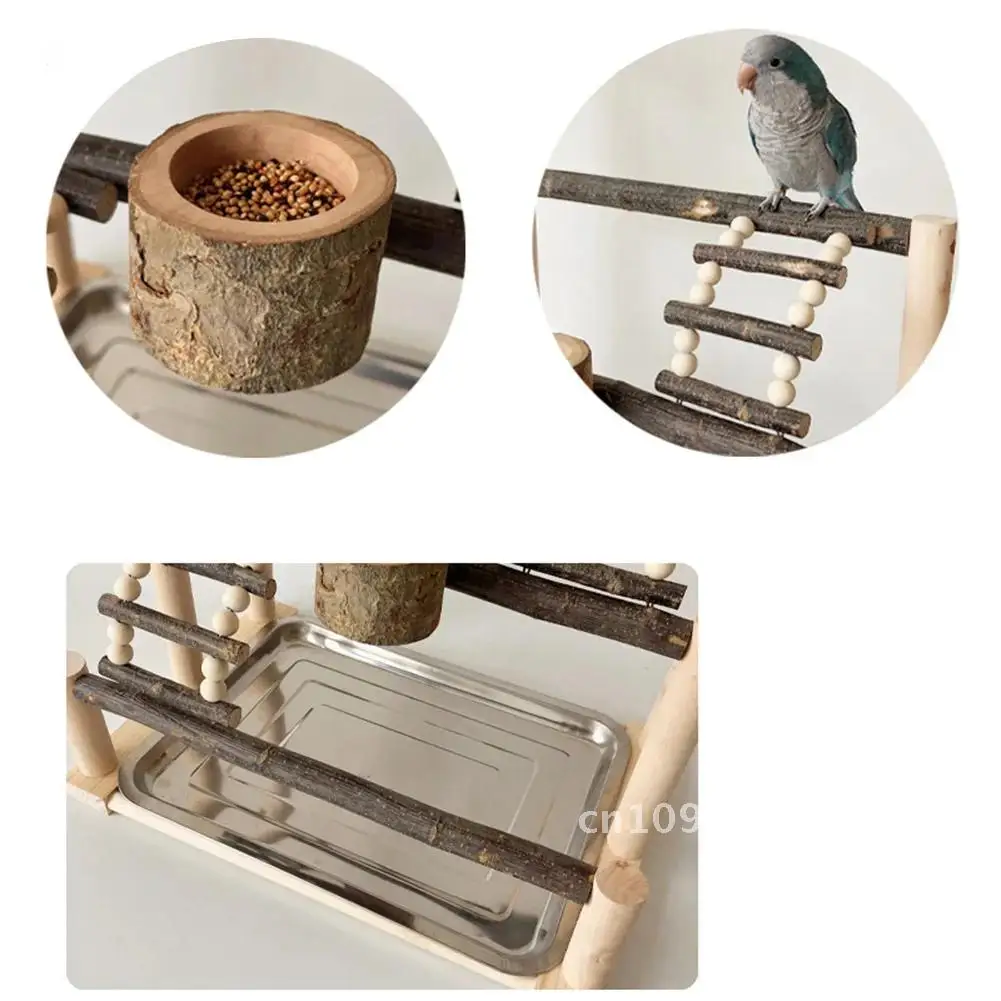 Bird Playground Parrot Natural Wood Perch Stand with Stainless Ladder For Supplies Bird Accessories Tray Feeding Steel Cup