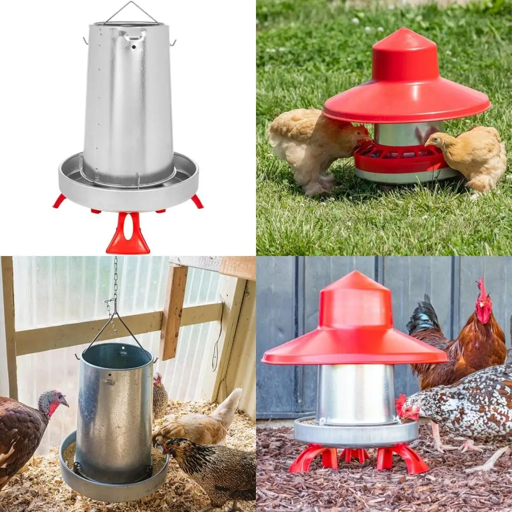 

Премьер-оцинкованная конусная кормушка для цыплят и птиц — грузоподъемность 22 фунта (только кормушка)