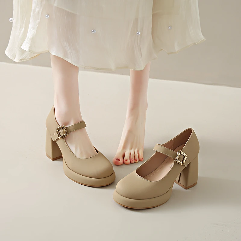 2025 New Platform H… - image