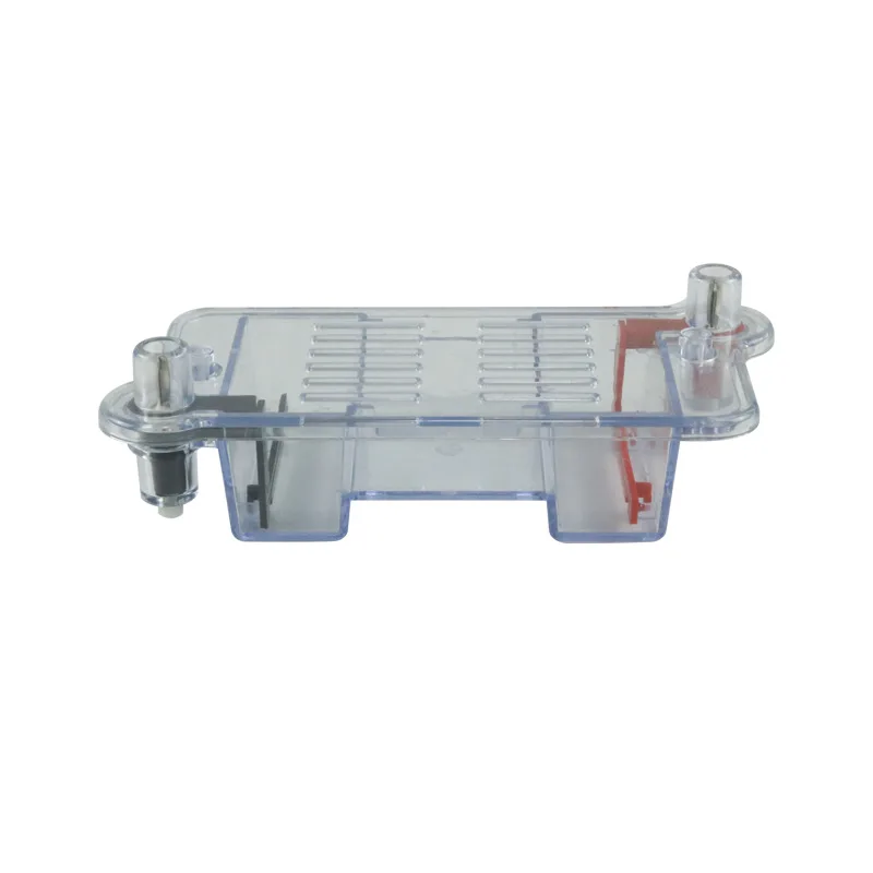 Horizontal Electrophoresis Tank Gel Experiment Biological Teaching Instrument High School