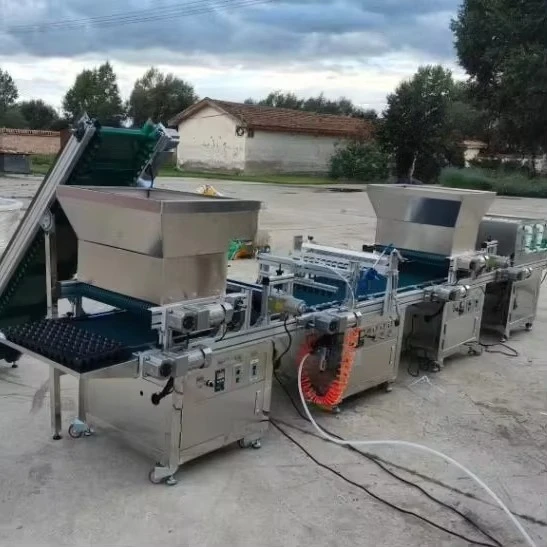 Fully Automatic Seedling Machine Vegetable Tray Seedling Seeder With Soil Spreader Hole Pressing Machine Planter