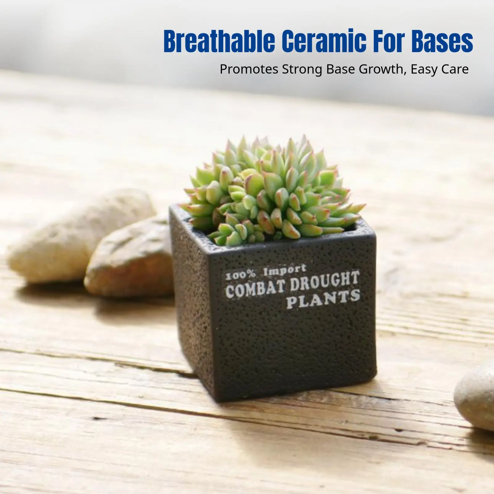 

Breathable Mini Ceramic Pot, Nordic Square Planter for Home Decor